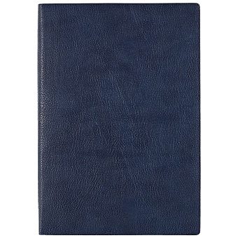 Ежедневник недатированный Шеврет экстра, А5, 120 листов, синий