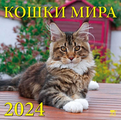 календарь настенный на 2023 год год кота кошки мира Календарь 2024г 300*300 Кошки мира настенный, на скрепке