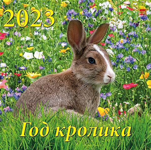 Календарь настенный на 2023 год Год кролика