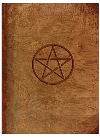 Магический дневник магический дневник книга ведьмы