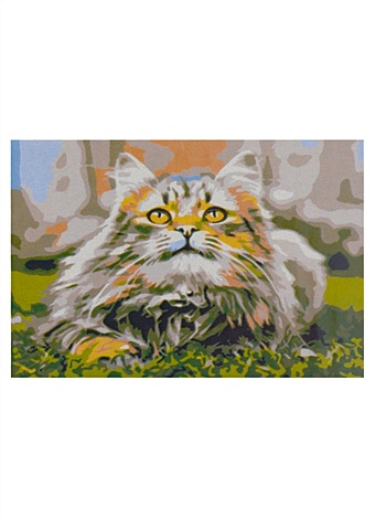 Холст с красками по номерам 22х30см (12цв.) ТМ Рыжий кот Пушистый кот HS025