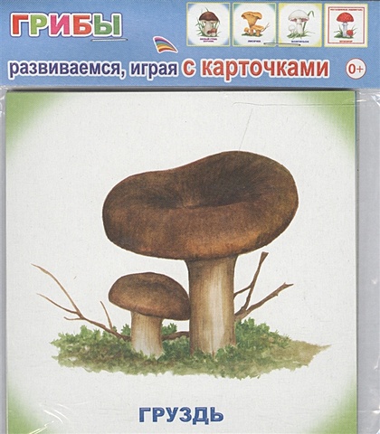 Обучающие карточки. Грибы обучающие карточки грибы