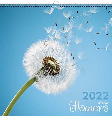 Цветы. 3 декор для офиса декоративный планировщик календарь настенный вечный подвесной календарь 2022 2023 наклейки календарь на английском месяц р