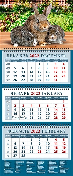 Календарь квартальный на 2023 год Год кролика. Родительская забота