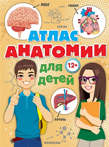 Швырев А.А. Атлас анатомии для детей швырев а а малый анатомический атлас