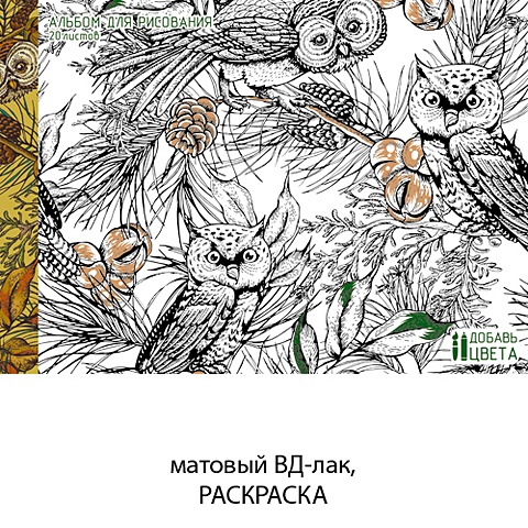 Совы в лесу (раскраска на обложке) АЛЬБОМЫ ДЛЯ РИСОВАНИЯ (*интерактив) совы в лесу раскраска на обложке альбомы для рисования интерактив