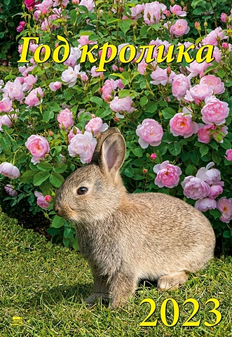 Календарь настенный на 2023 год Год кролика 