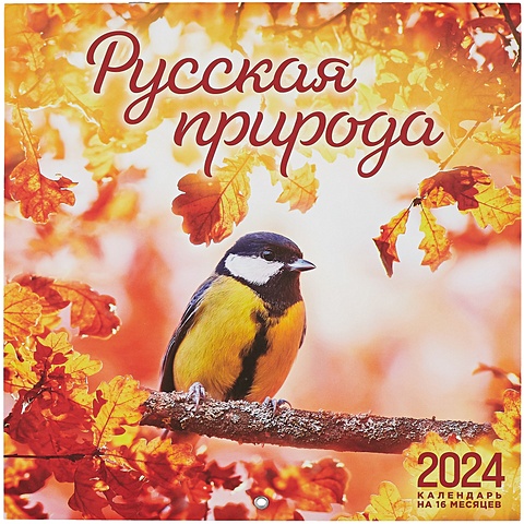 Русская природа. Календарь настенный на 16 месяцев на 2024 год (300х300 мм)