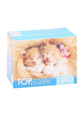 Пазл Два спящих котенка, 1000 элементов пазлы 1000 toppuzzle два спящих котенка гитп1000 2142