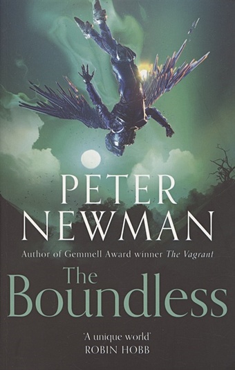 Newman P. The Boundless