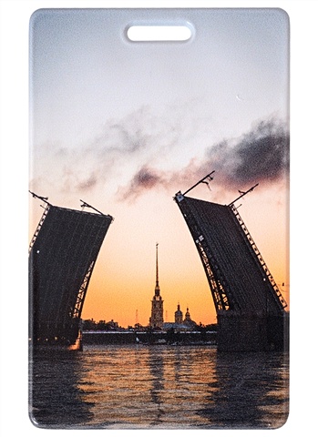 Чехол для карточек СПб Разведенный мост и Петропавловская крепость (фото)