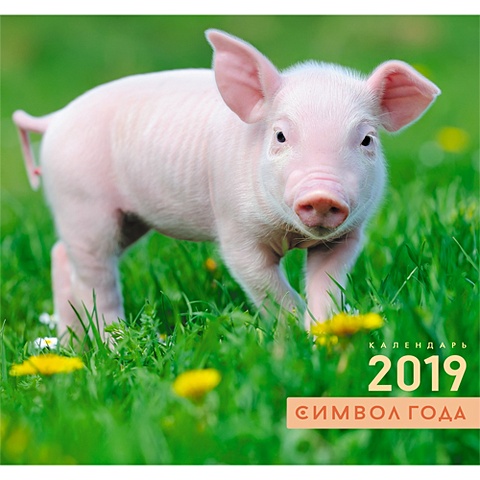 Символ года. Свинка на траве ***КАЛЕНДАРИ 2019_ НАСТЕННЫЕ ПЕРЕКИДНЫЕ символ года свинка на траве календари 2019 настенные перекидные