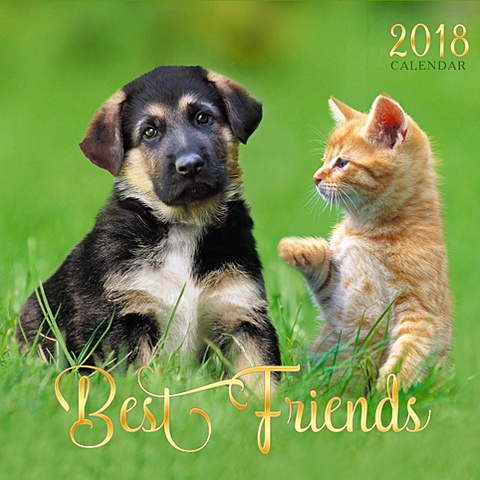 символ года собаки скрепка 12л календари 2018  настенные перекидные Символ года. Лучшие друзья (скрепка, 6л.) ***КАЛЕНДАРИ 2018_ НАСТЕННЫЕ ПЕРЕКИДНЫЕ