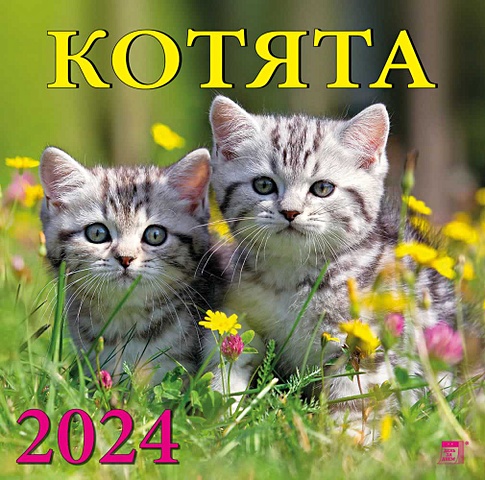 Календарь 2024г 300*300 Котята настенный, на скрепке