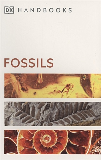 identification Ward D. Fossils