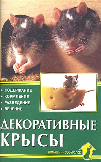 цена Декоративные крысы