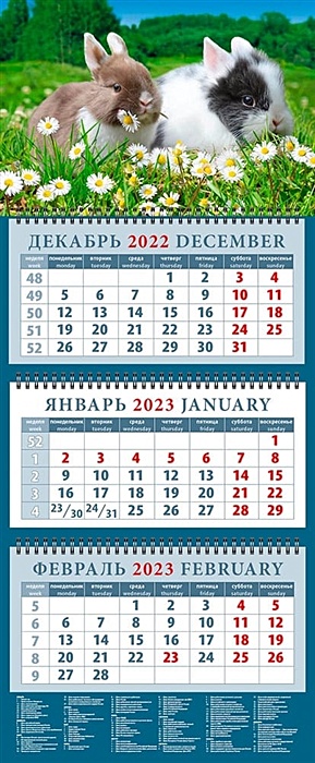 Календарь квартальный на 2023 год Год кролика. Двое друзей на прогулке
