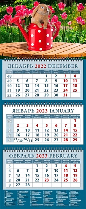 Календарь квартальный на 2023 год Год кролика. Озорной крольченок