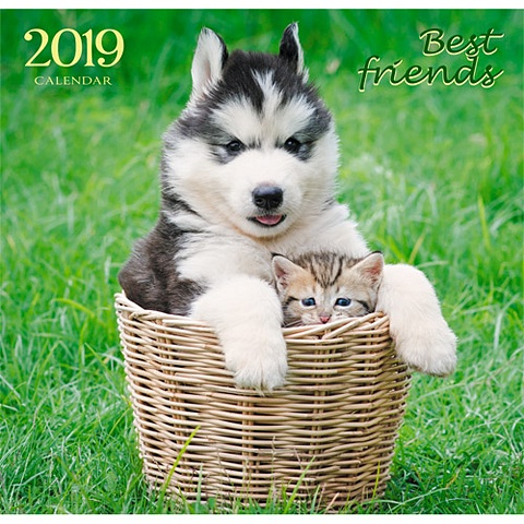 Домашние любимцы. Забавные друзья ***КАЛЕНДАРИ 2019_ НАСТЕННЫЕ ПЕРЕКИДНЫЕ домашние любимцы котенок на дереве календари 2019 настенные перекидные