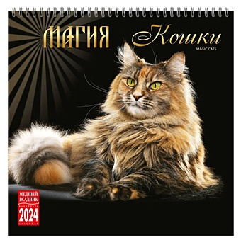 Календарь 2024г 320*320 Магия кошки настенный, на спирали