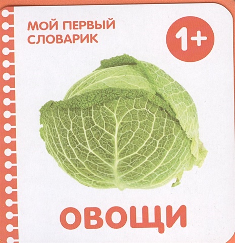 краснушкина е е мой первый словарик eva овощи Краснушкина (ред.) Мой первый словарик. Овощи (EVA)