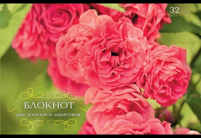 Розовые цветы АЛЬБОМЫ ДЛЯ РИСОВАНИЯ (*скрепка). 32 листа