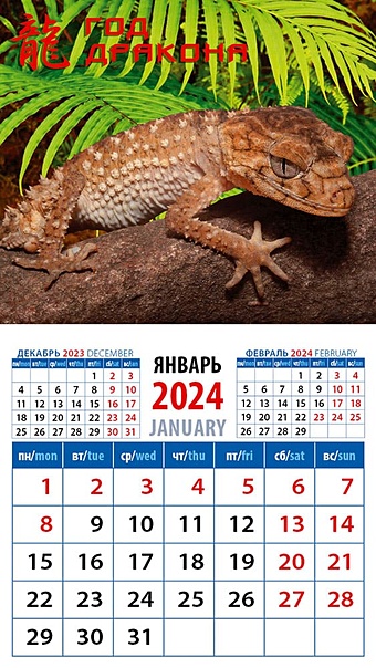 Календарь 2024г 94*167 Год дракона 5 на магните календарь настен перекид на гребне арт и дизайн год дракона 28 44см 2024г 361942