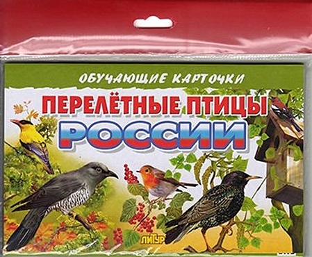 Перелетные птицы России/европодвес плакат перелетные птицы россии 550х770