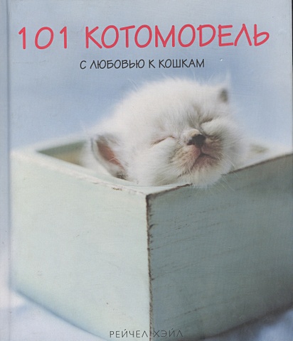 101 котомодель с любовью к кошкам