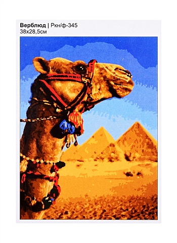 Картина по номерам на картоне Верблюд