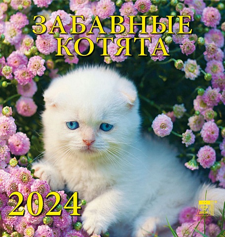 Календарь 2024г 160*170 Забавные котята настенный, на скрепке