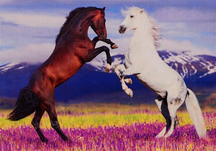Алмазная мозаика на подрамнике Лошади в цветущем поле, 30х40 см алмазная мозаика на подрамнике лошади в цветущем поле 30х40 см