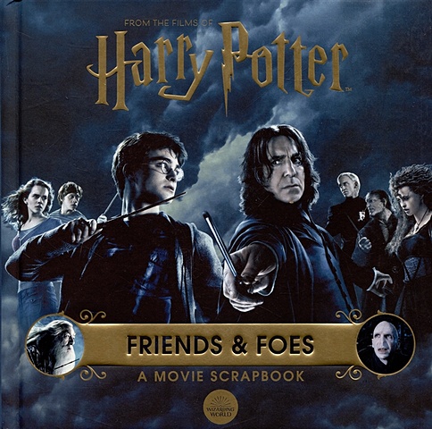 Warner Bros Harry Potter - Friends & Foes: a Movie Scrapbook (Warner Bros) набор фигурок harry potter with the stone ron weasley in devil s snare