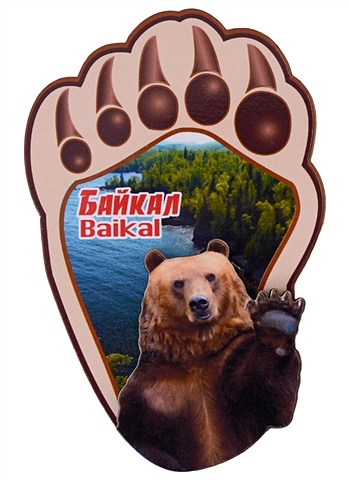 цена ГС Магнит Байкал Лапа медведя вид 2 (дерево)(7,5см)