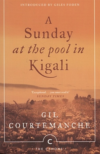Courtemanche G. A Sunday At The Pool In Kigali hotel rwanda 2004 tin signs vintage movies funny for coffee