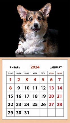 Календарь 2024г 95*165 Собака. Корги на магните