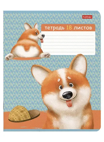 Тетрадь в клетку Hatber, Рыжий Коржик, 18 листов, в ассортименте