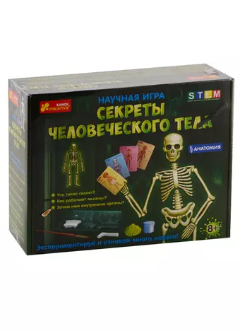 Научная игра - Секреты человеческого тела