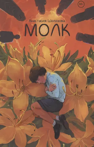 Шолохова Анастасия Молк