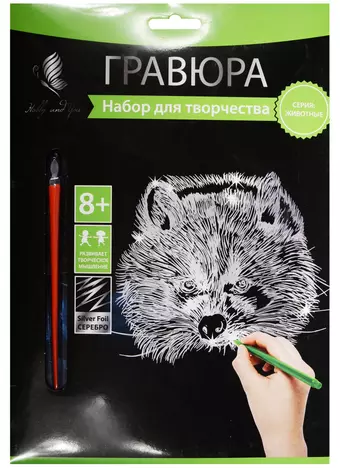 Набор д/творч. Гравюра серебро Енот (HY340001129g) (18х24 см)(8+) (Hobby and you)