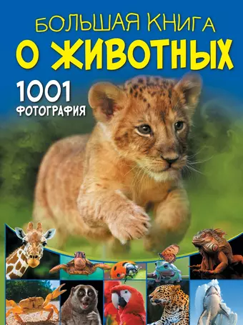 Ермакович Дарья Ивановна Большая книга о животных. 1001 фотография цена и фото