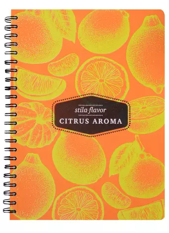 Тетрадь в клетку Stila, Citrus, 100 листов