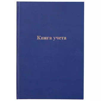 Книга учёта, линейка, 96 листов, А4