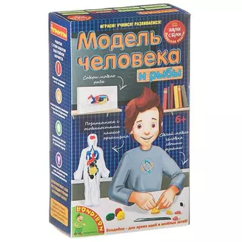 Игровой набор, Японские опыты Науки с Буки Bondibon/Бондибон Модель человека 196408