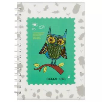 Тетрадь в клетку Hai Bin, Hello owl, 80 листов, в ассортименте