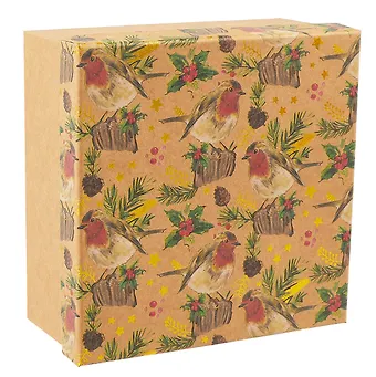 Коробка подарочная Снегири НГ, 20*20*9.5, картон