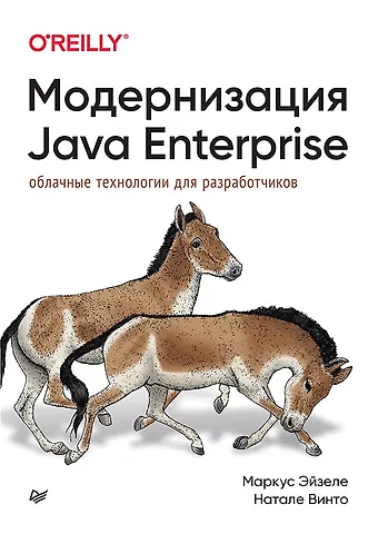Эйзеле Маркус, Винто Натале Модернизация Java Enterprise: облачные технологии для разработчиков