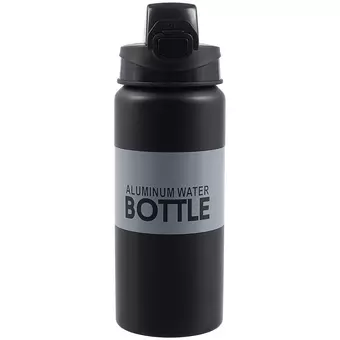 Бутылка Bottle (металл) (600мл) (12-16107-A600-C23)