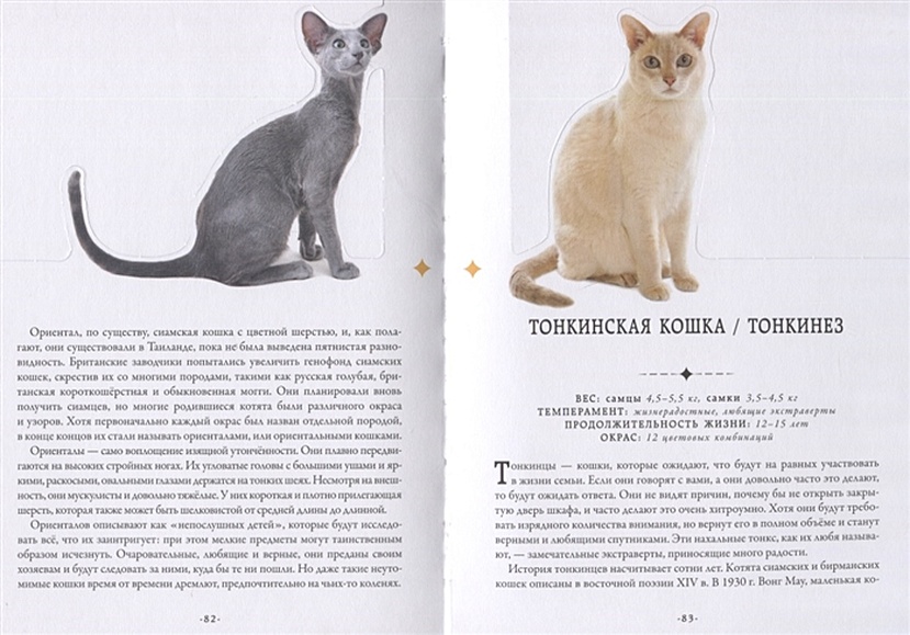 Джулия Дональдсон: Книжка для кошки