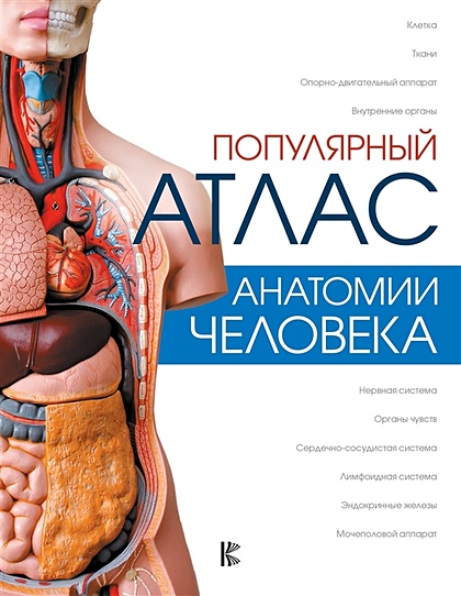 Анатомия человека в картинках - Google Books